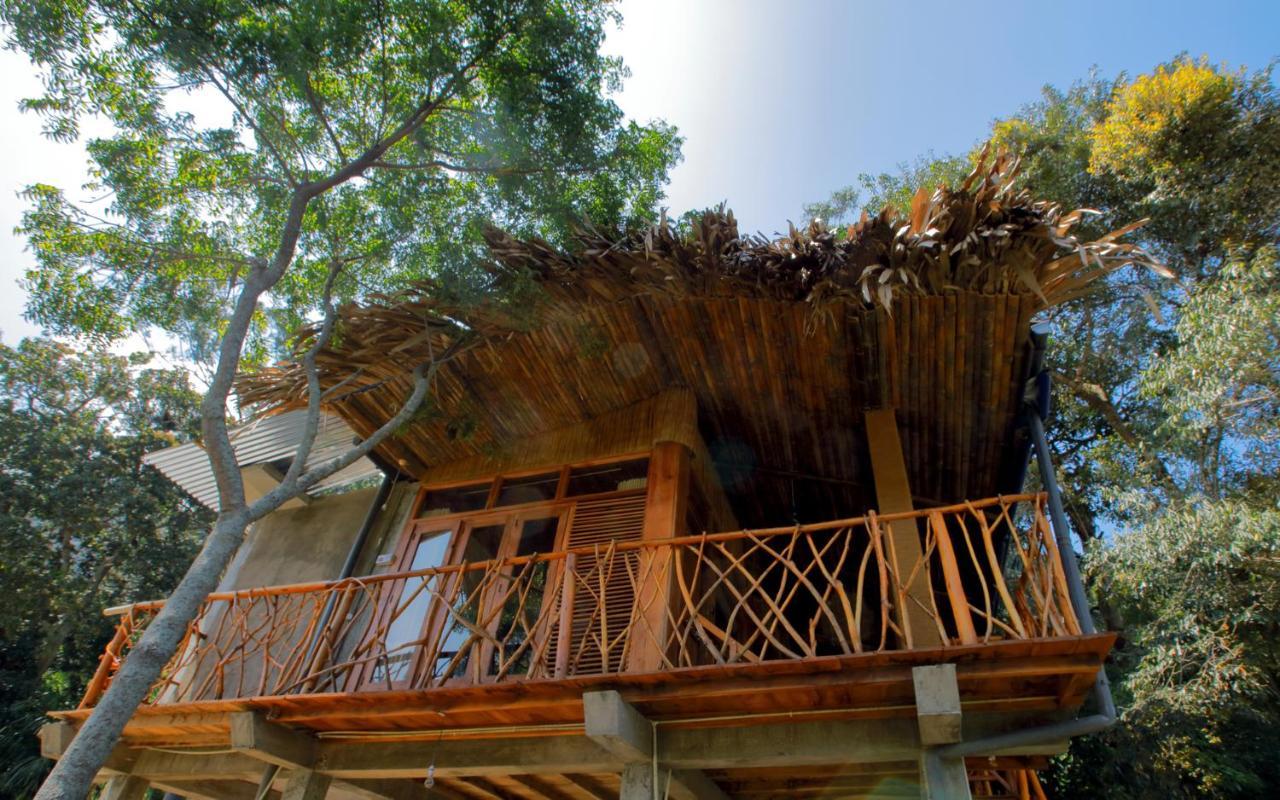 The Winsome & Tree House Bed & Breakfast เอลลา ภายนอก รูปภาพ